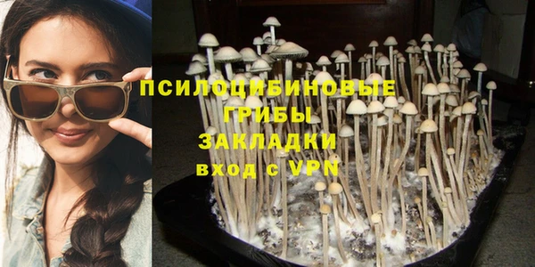 герыч Инсар